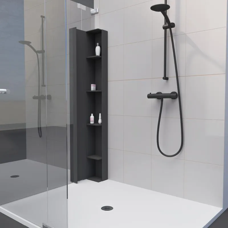 Shower Shelf